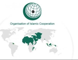 OIC Demands ‘Immediate Release’ of Abducted Women and Children After Deadly Zamfara Raid